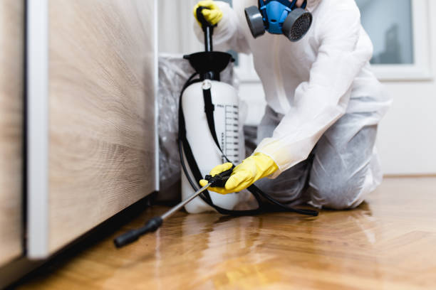 Best Mosquito Control Services  in Keokuk, IA