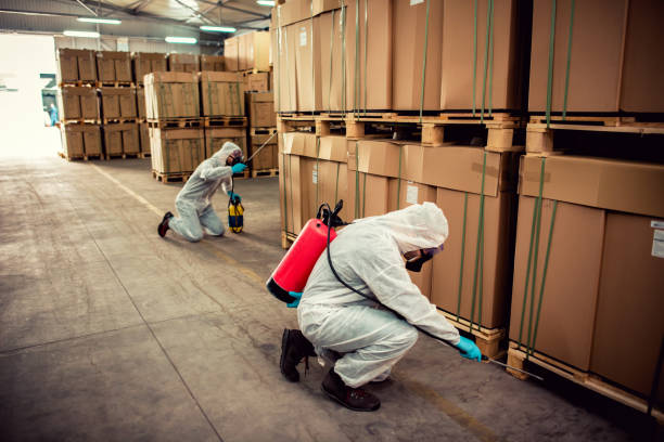 Best Affordable Pest Control Services  in Keokuk, IA