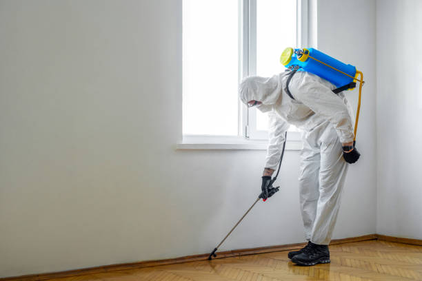Best Bed Bug Extermination  in Keokuk, IA