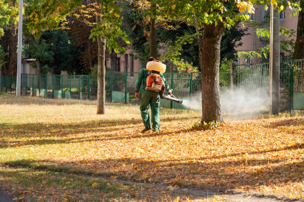 Pest Control Cost in Keokuk, IA