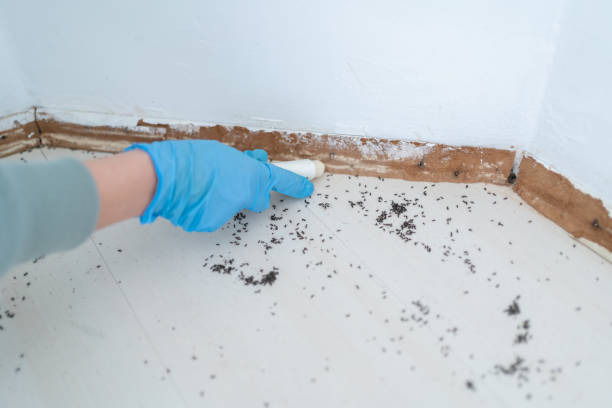 Keokuk, IA Pest Control Company